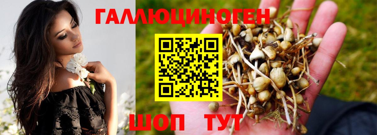 Псилоцибиновые грибы Magic Shrooms Новосибирск