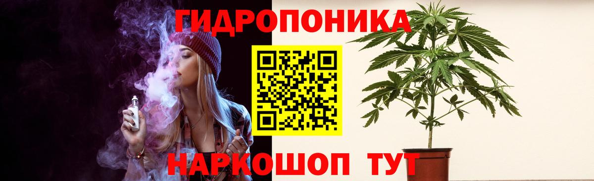 Шишки марихуана ГИДРОПОН Новосибирск